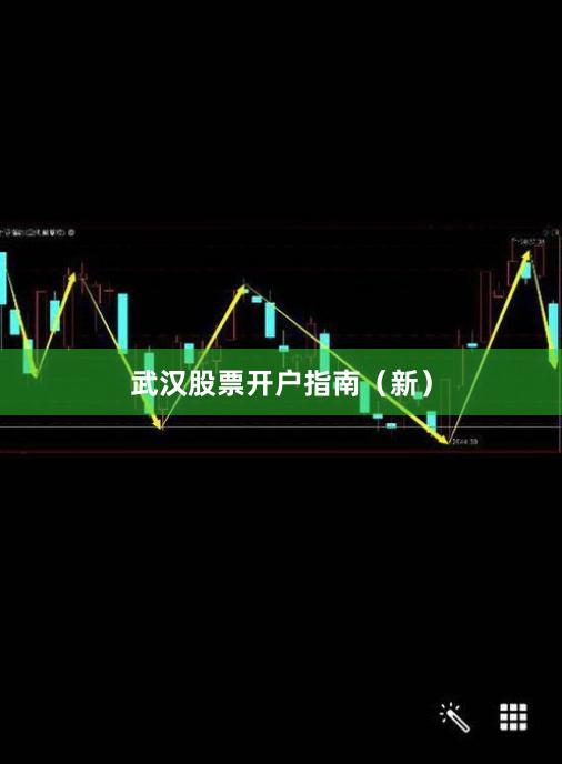 武汉股票开户指南（新）