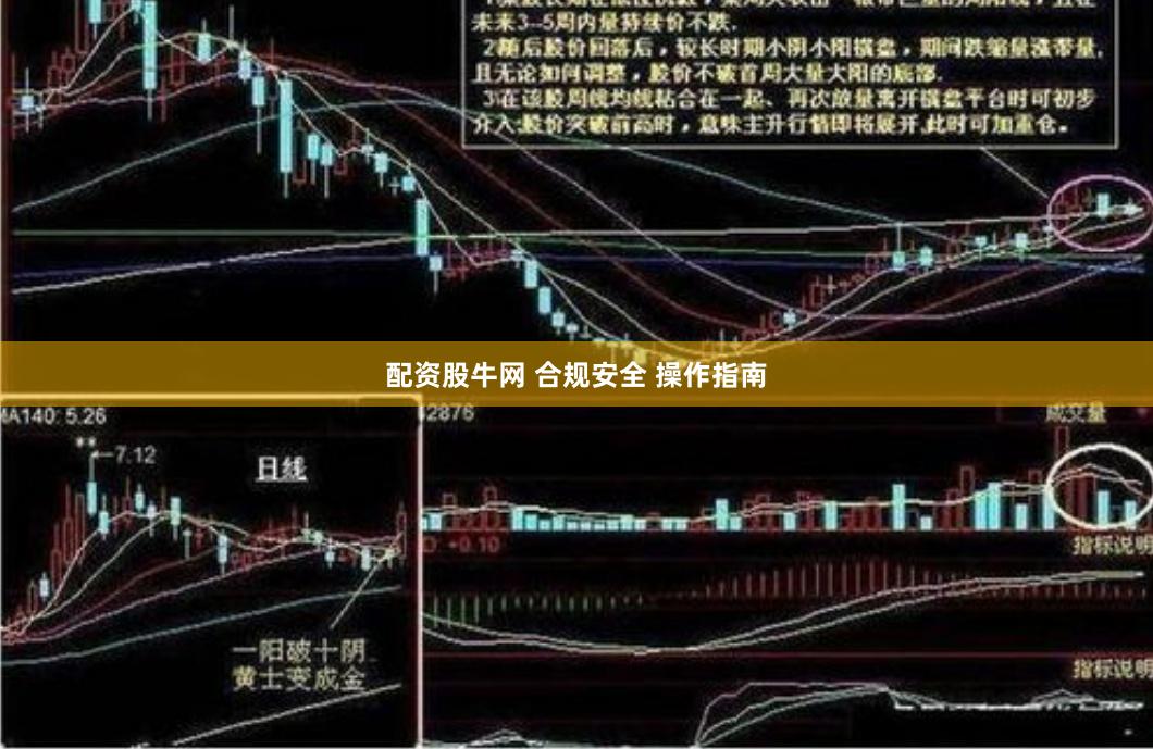 配资股牛网 合规安全 操作指南